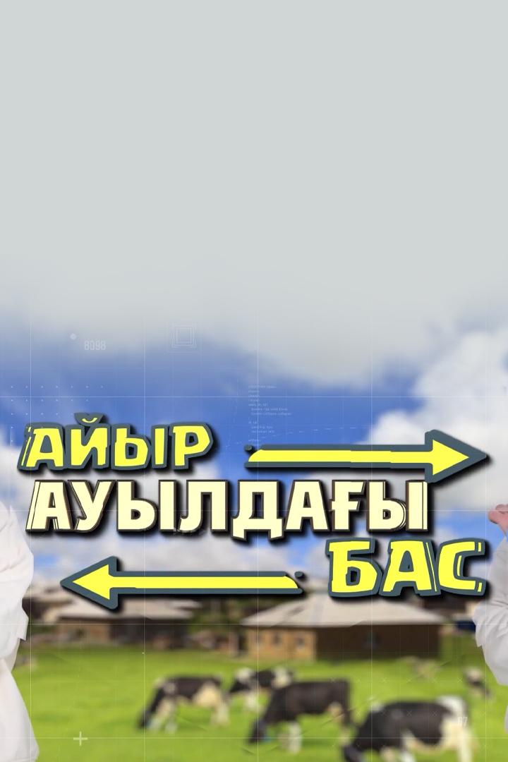Ауылдағы айырбас (auylday-ajyrbas) Досуг, хобби