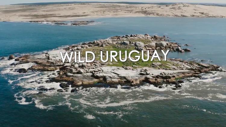 Постер Wildes Uruguay