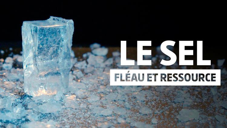 Постер Le sel : Fléau et ressource