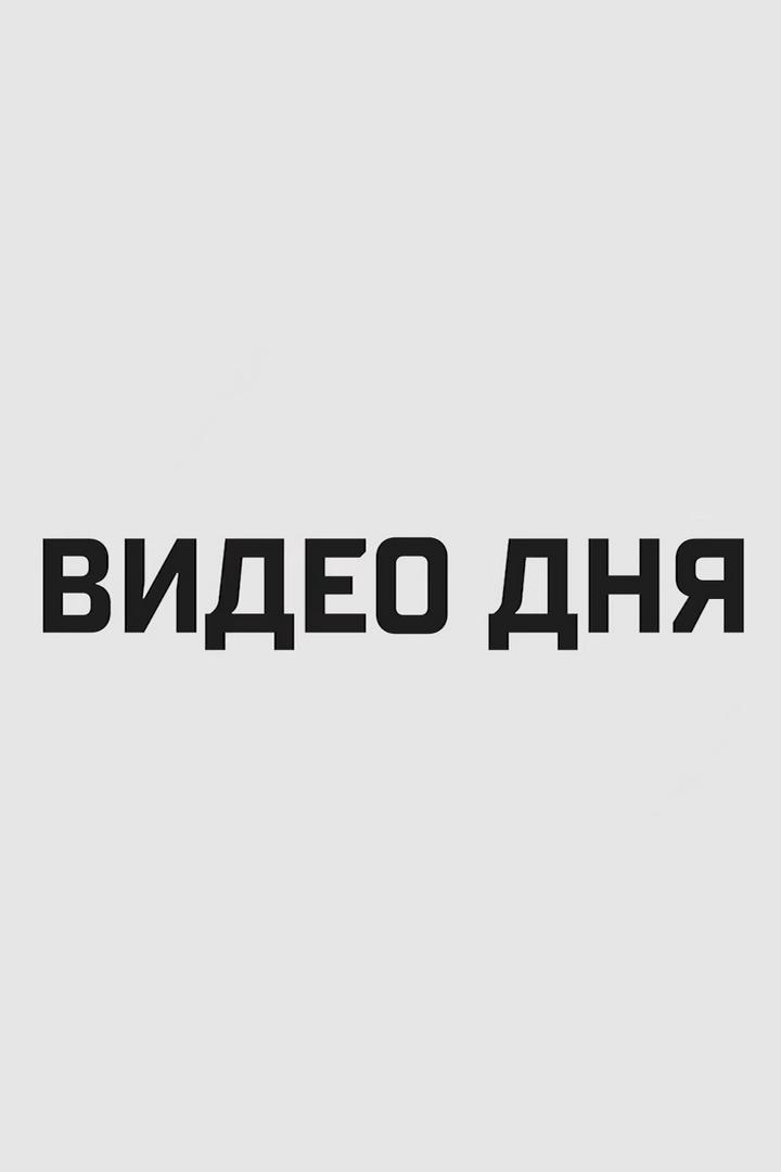 Видео дня (video-dnja) Познавательное