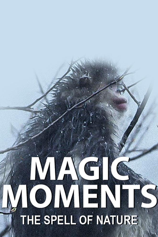 Magic Moments: The Spell of Nature (magic-moments-the-spell-of-nature) Документальный фильм