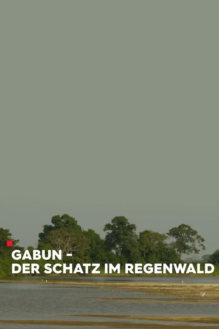 Gabun – Der Schatz im Regenwald (gabun-der-schatz-im-regenwald) Документальный фильм