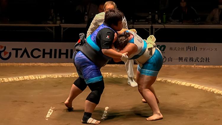 Постер The World of Ms.SUMO