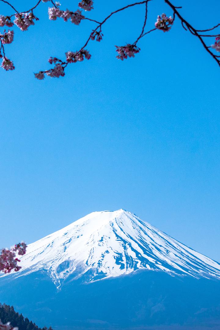Fujiyama Truth (fujiyama-truth) Познавательное