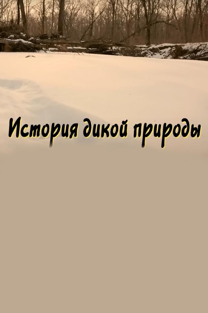 Истории дикой природы (istorii-dikoj-prirody) Документальный сериал
