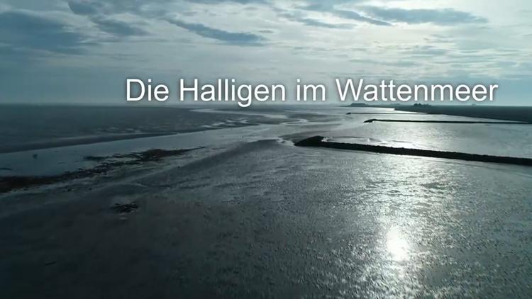 Постер Die Halligen im Wattenmeer