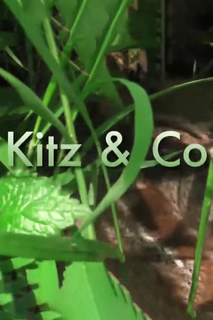 Kitz & Co. Die Kunst des Verschwindens (kitz-co-die-kunst-des-verschwindens) Документальный фильм