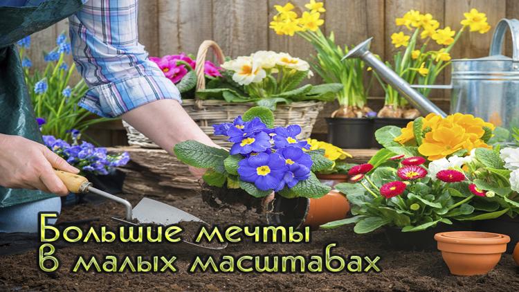 Постер Большие мечты в малых масштабах