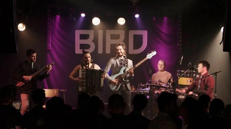 Постер Banda Magda: live at BIRD Rotterdam