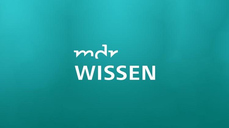 Постер MDR Wissen