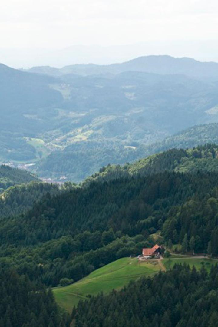 Mystischer Südschwarzwald (mystischer-sdschwarzwald) Познавательное