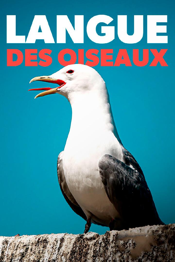 Langue des oiseaux (langue-des-oiseaux) Документальный фильм