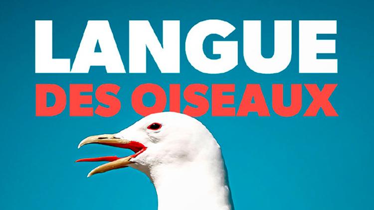 Постер Langue des oiseaux