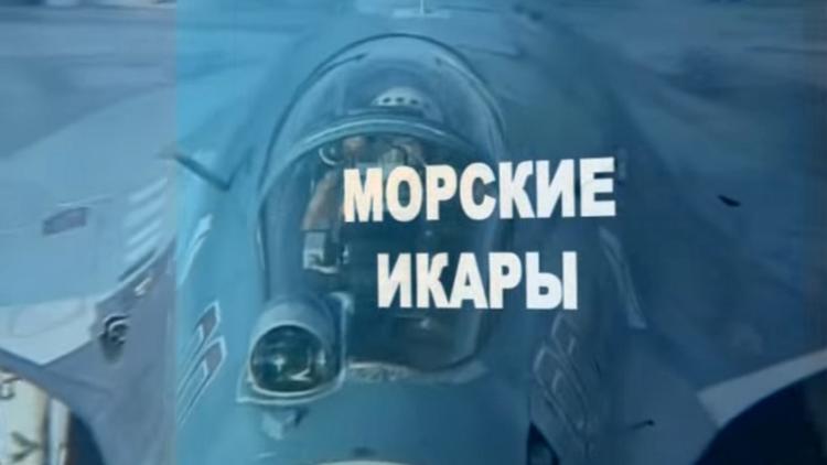 Постер Морские икары