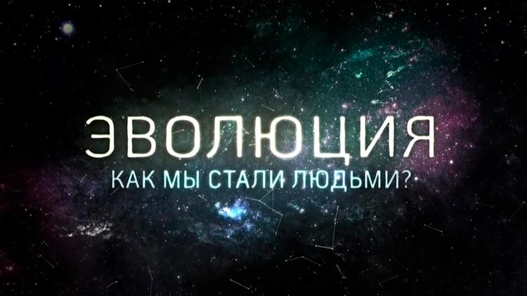 Постер Эволюция. Как мы стали людьми?