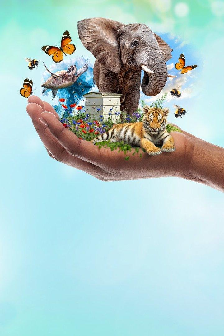 Save Our Wildlife (save-our-wildlife) Документальный фильм