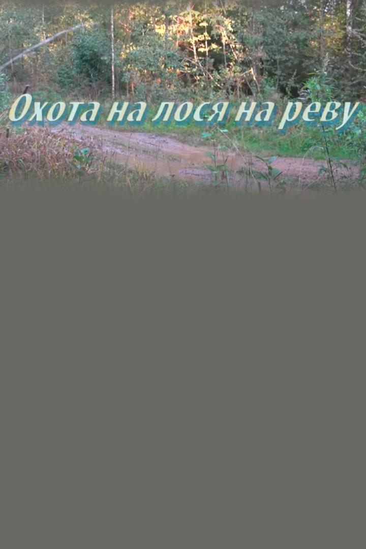 На реву. Охота на лося в Ярославской области (na-revu-ohota-na-losja-v-jaroslavskoj-oblasti) Досуг, хобби