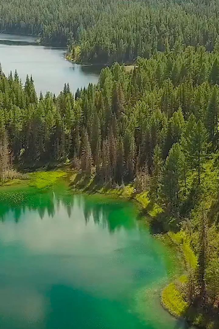 Долина реки Большой Улаган (dolina-reki-bolshoj-ulagan) Досуг, хобби
