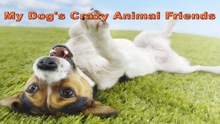 Постер My Dog's Crazy Animal Friends