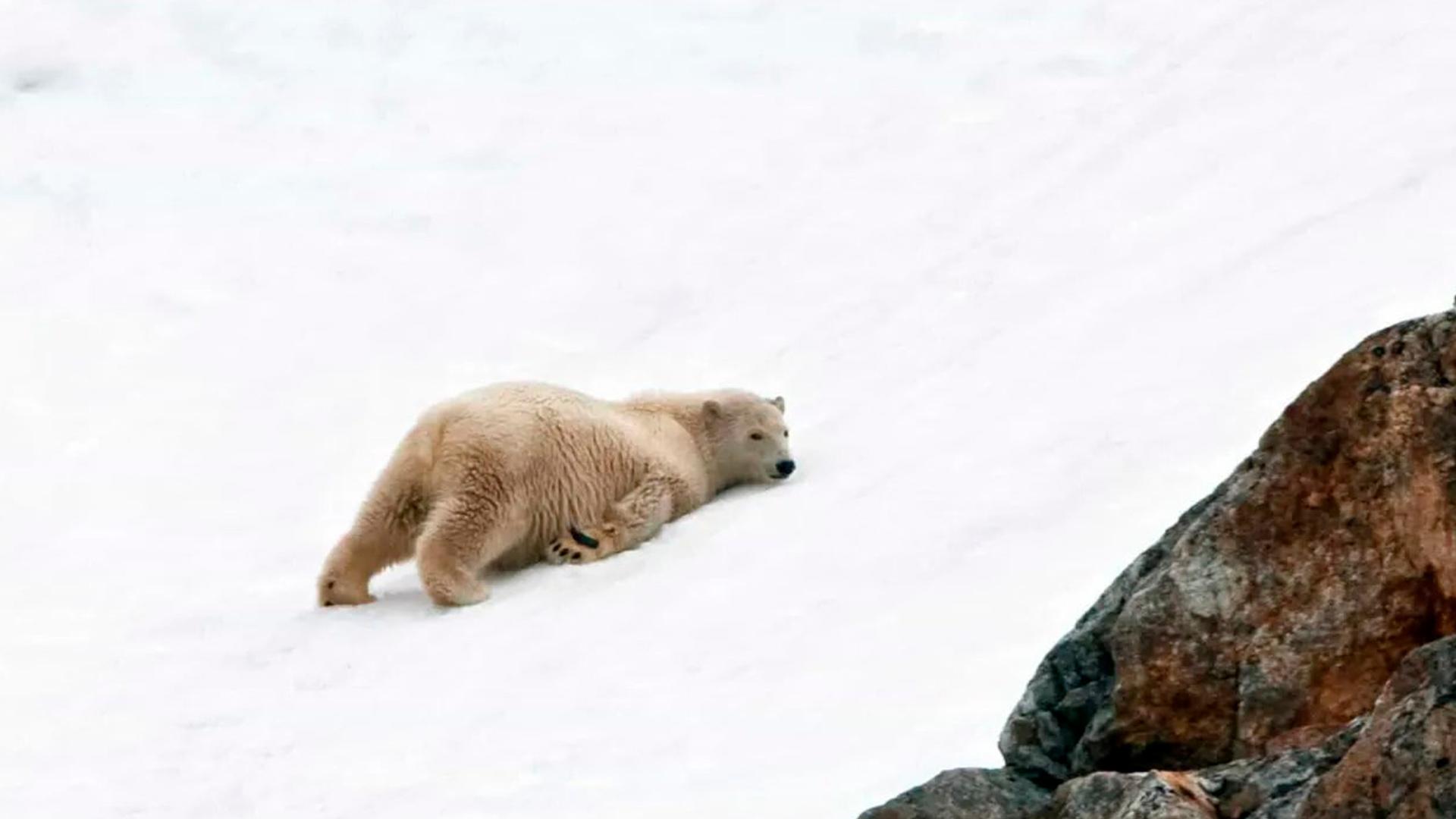 Auf zum Polarkreis! Von Dänemark bis zum Nordkap (auf-zum-polarkreis-von-dnemark-bis-zum-nordkap) Документальный фильм