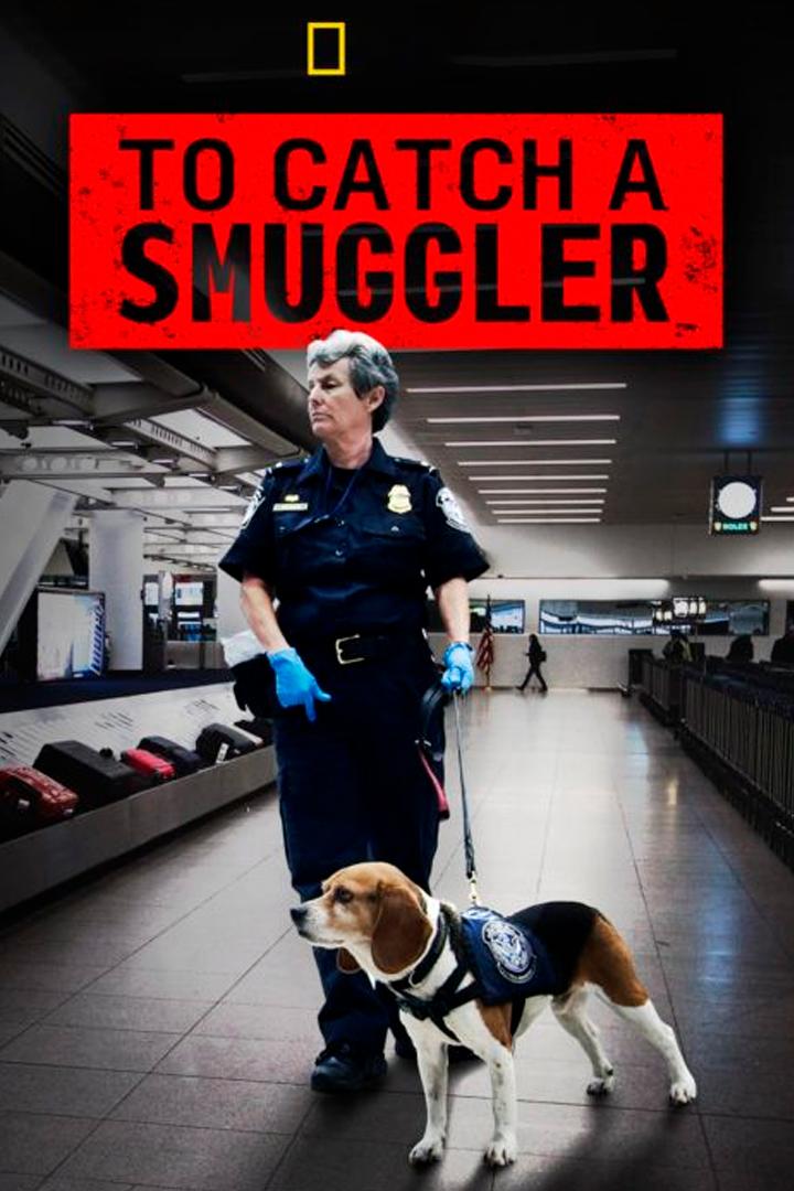 To Catch a Smuggler: Mediterranean (to-catch-a-smuggler-mediterranean) Документальный сериал
