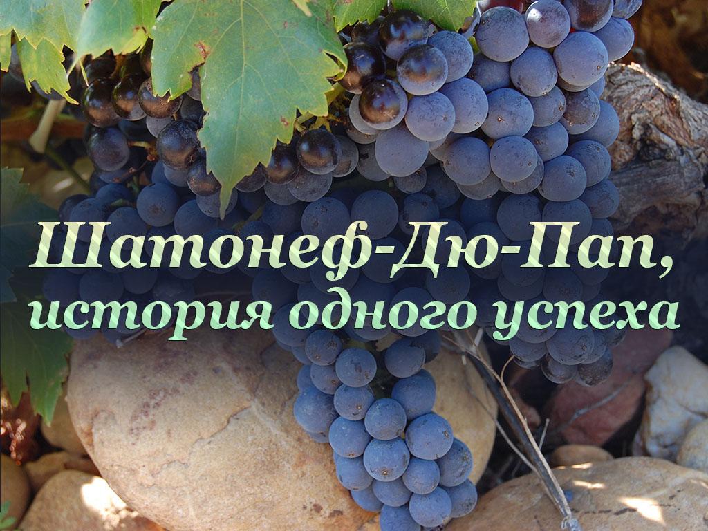 Шатонеф-Дю-Пап, история одного успеха (shatonef-dju-pap-istorija-odnogo-uspeha) Документальный фильм