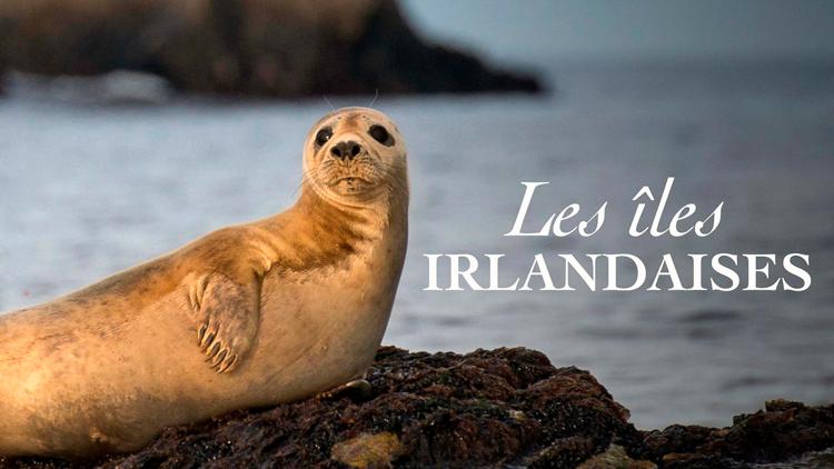 Постер Les îles irlandaises, avant-postes de l'océan