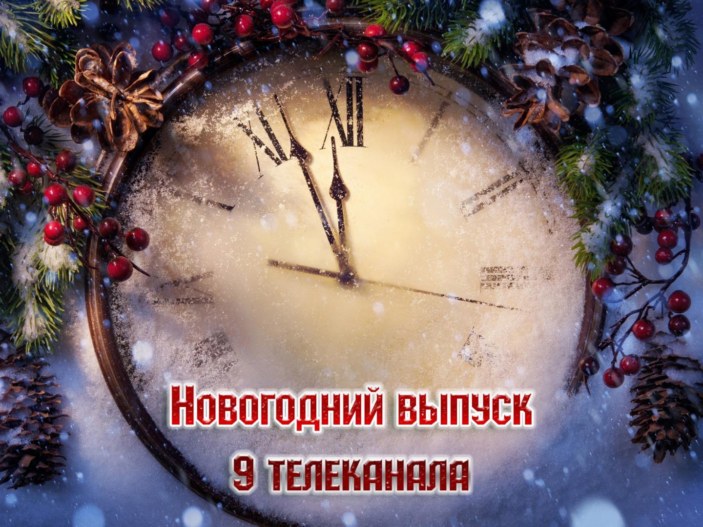 Новогодний выпуск 9 телеканала (novogodnij-vypusk-9-telekanala) ТВ-шоу