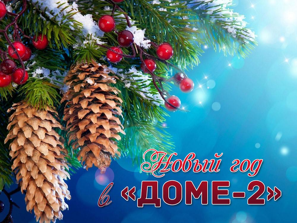 Новый год в «Доме-2» (novyj-god-v-dome-2) Реалити-шоу