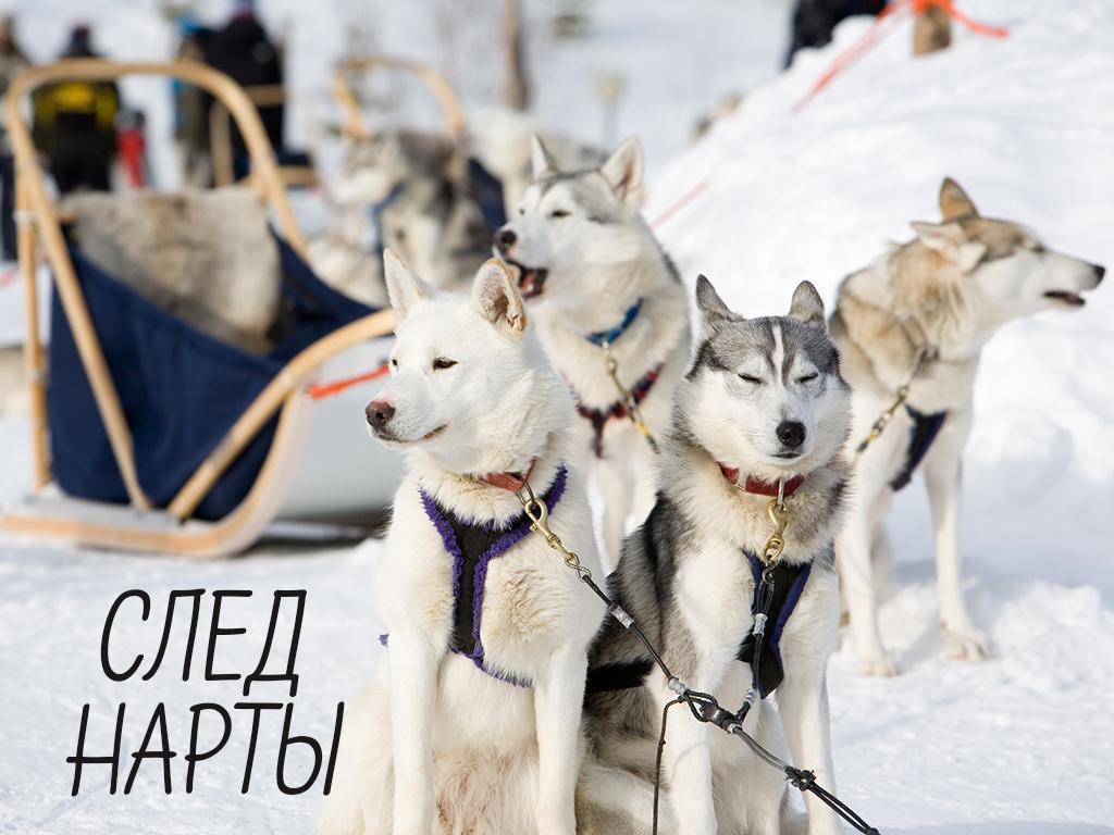 След Нарты (sled-narty) Документальный фильм