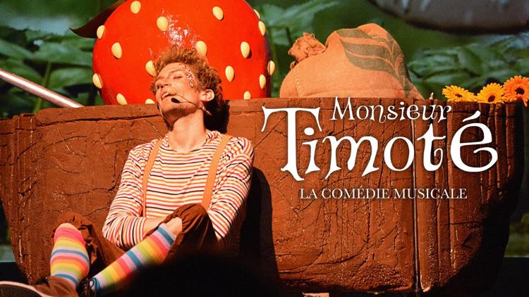 Постер Monsieur timoté