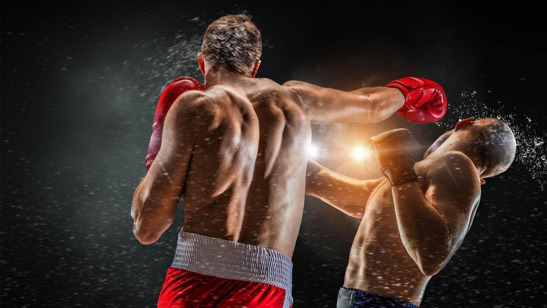 Кикбоксинг. Legion Pro Kickboxing Professional (kikboksing-legion-pro-kickboxing-professional) Спорт