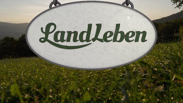 Постер Landleben