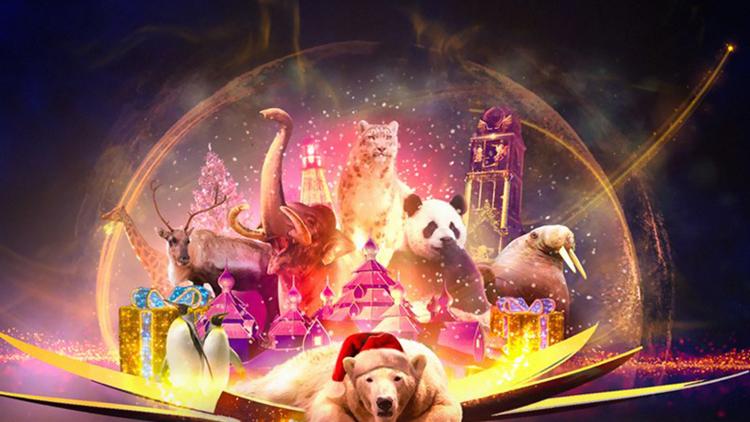 Постер Pairi Daiza : la magie de Noël dans le plus beau zoo d'Europe