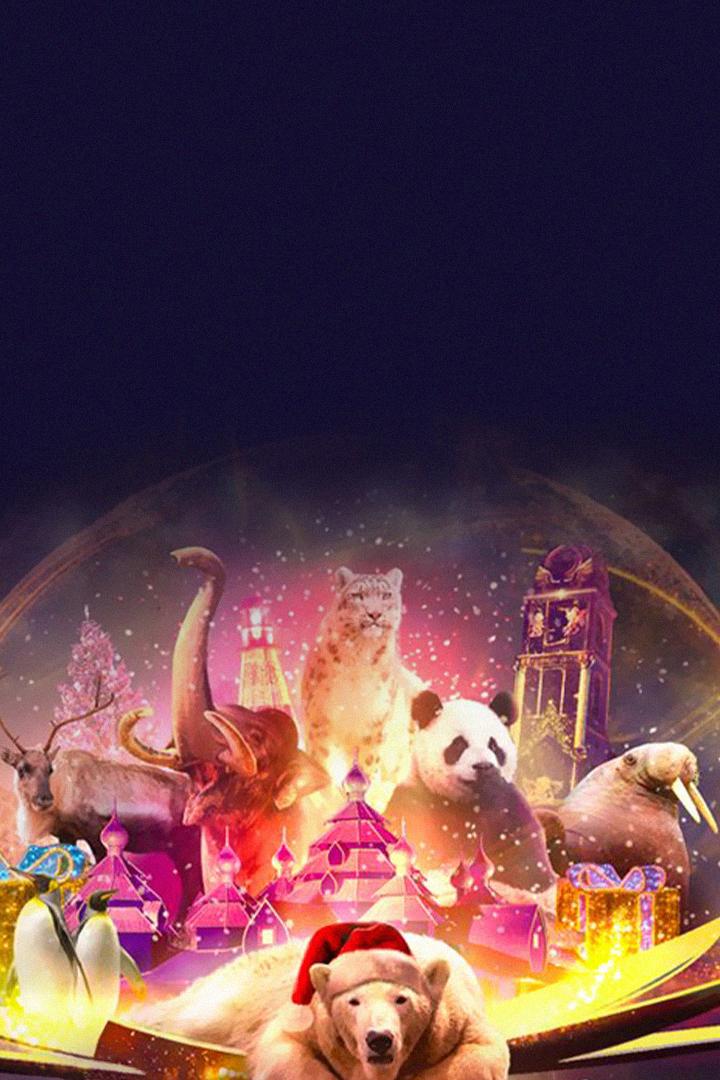 Pairi Daiza : la magie de Noël dans le plus beau zoo d'Europe (pairi-daiza-la-magie-de-nol-dans-le-plus-beau-zoo-deurope) Досуг, хобби