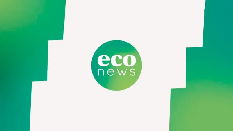 Постер ECO News