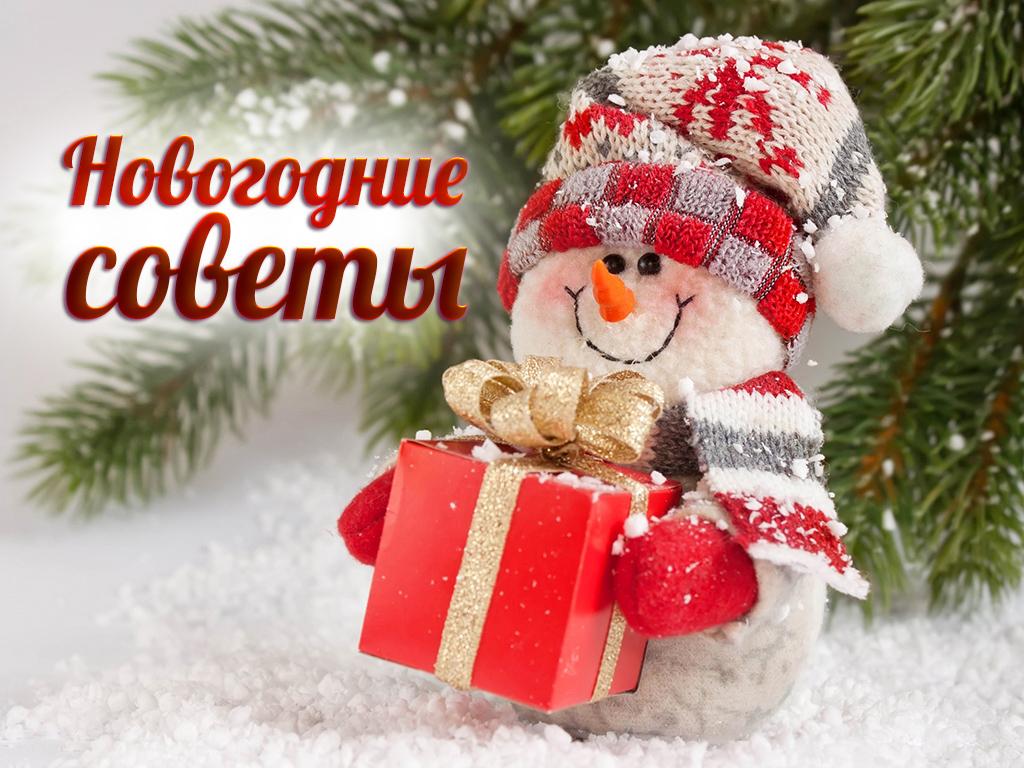 Новогодние советы (novogodnie-sovety) Досуг, хобби