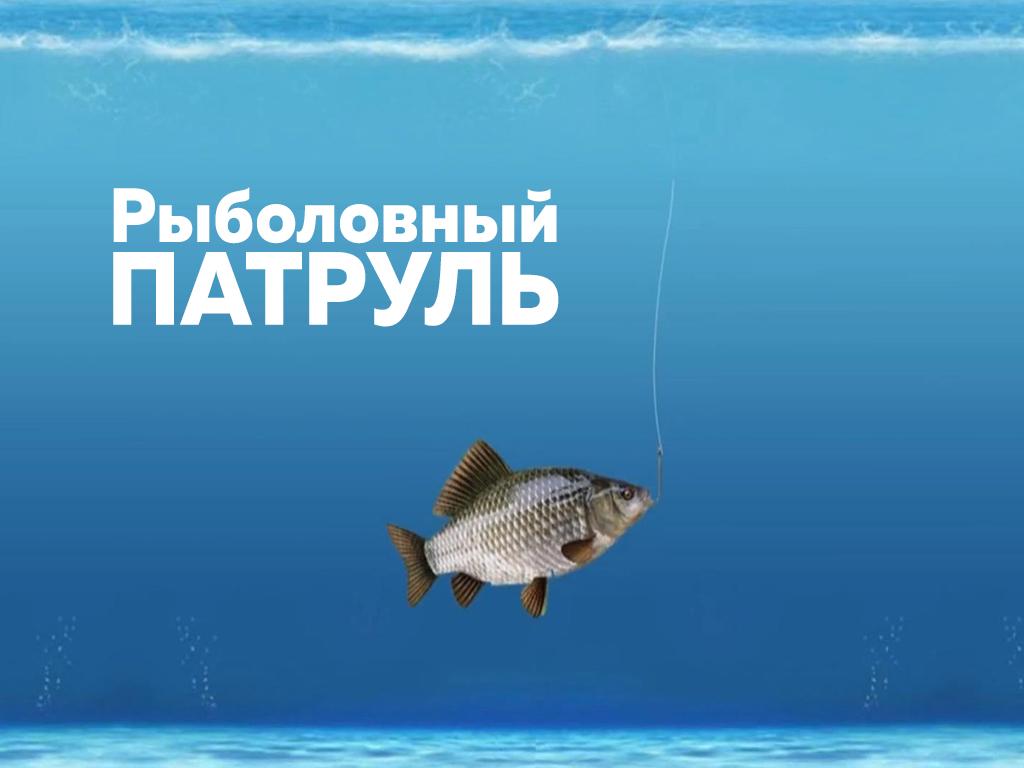 Рыболовный патруль (rybolovnyj-patrul) Досуг, хобби