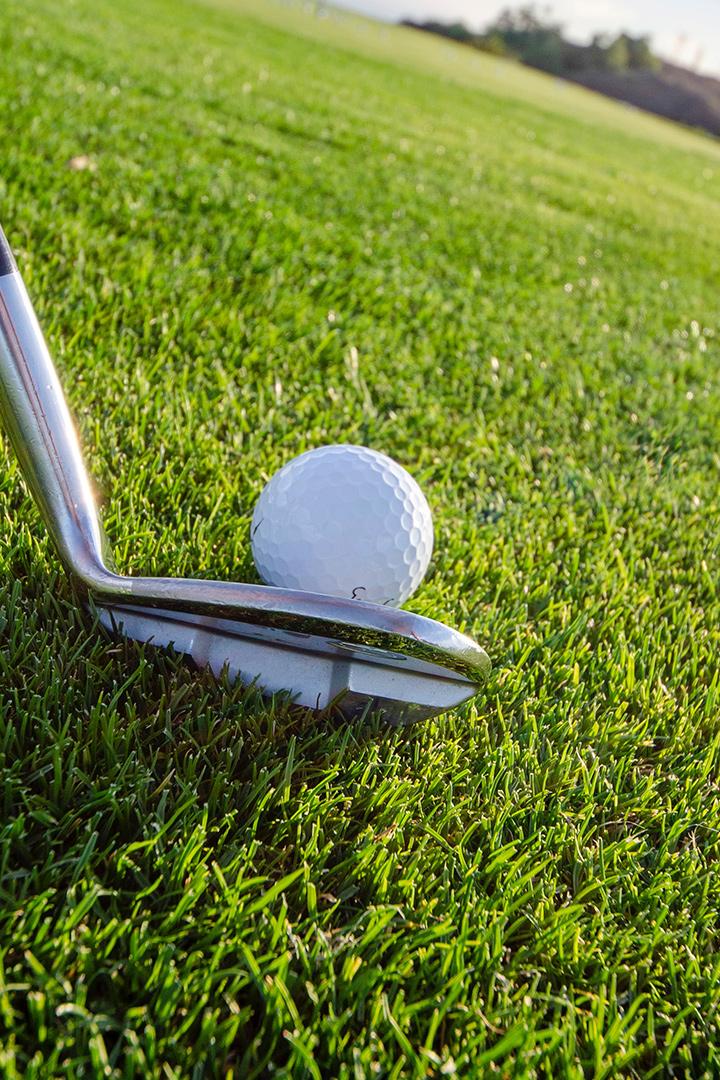 The Open Championship Official Film 2019 (the-open-championship-official-film-2019) Документальный фильм