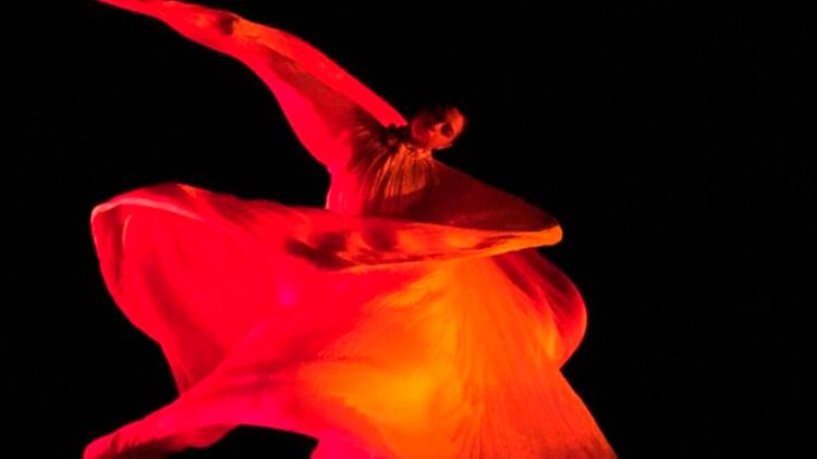 Постер Loïe Fuller : Danser la lumière