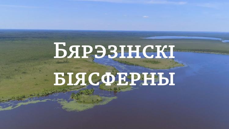 Постер Бярэзінскі біясферны