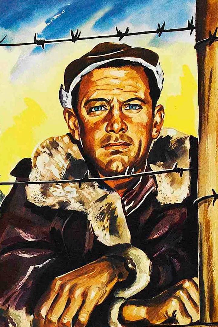 Шталаг 17 (shtalag-17) Фильм 1952
