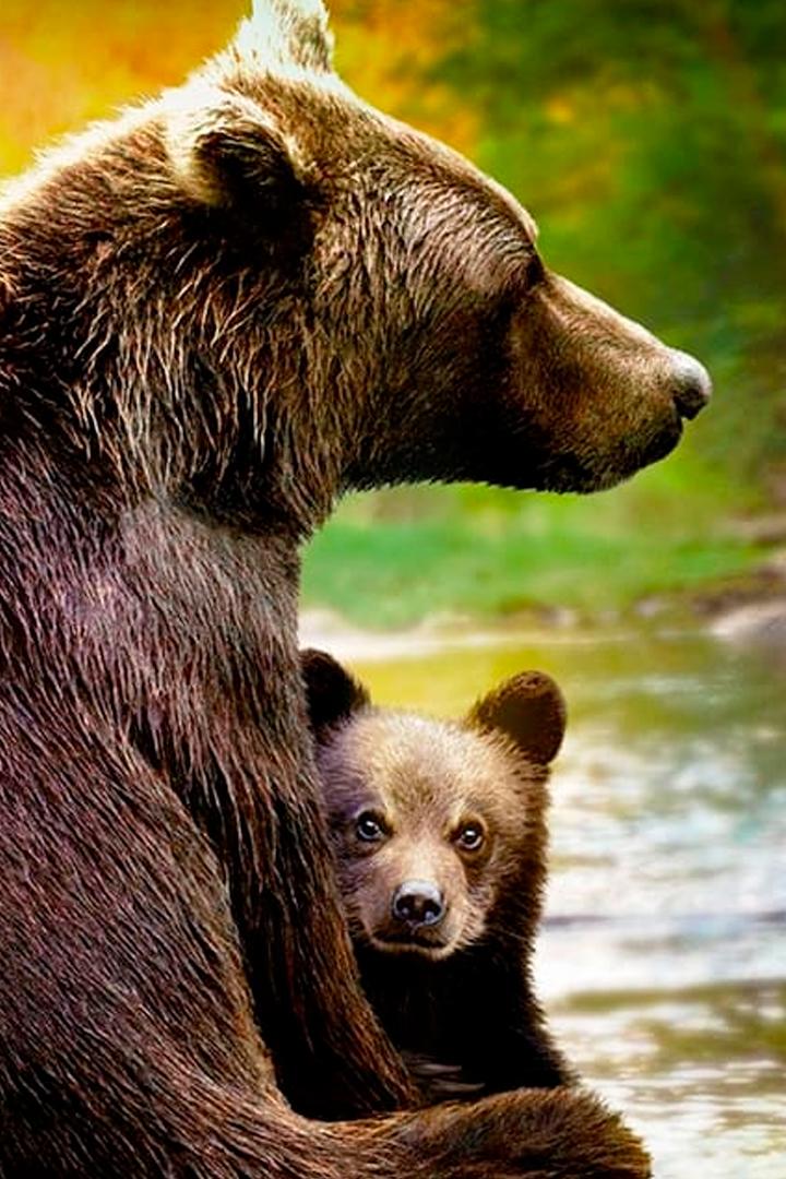 Growing Up Animal (growing-up-animal) Документальный фильм