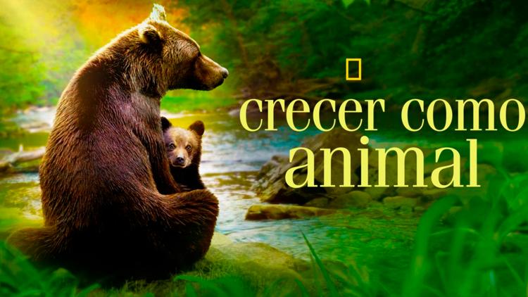 Постер Growing Up Animal