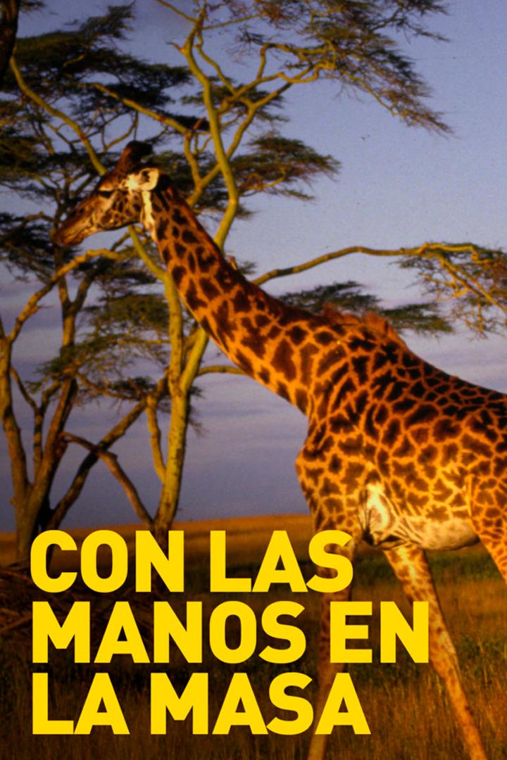 Con las manos en la masa (con-las-manos-en-la-masa) ТВ-шоу