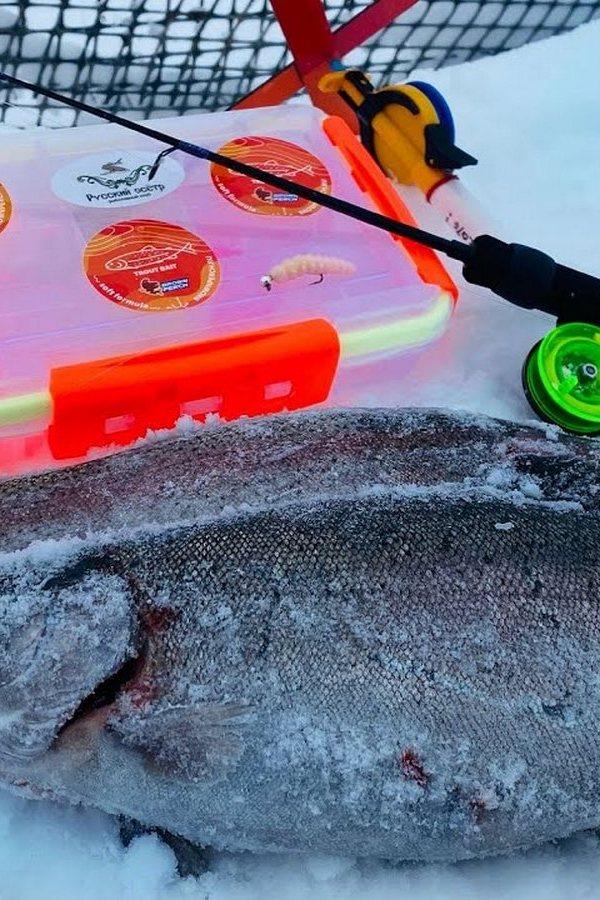 Форель любит розовый (forel-ljubit-rozovyj) Досуг, хобби