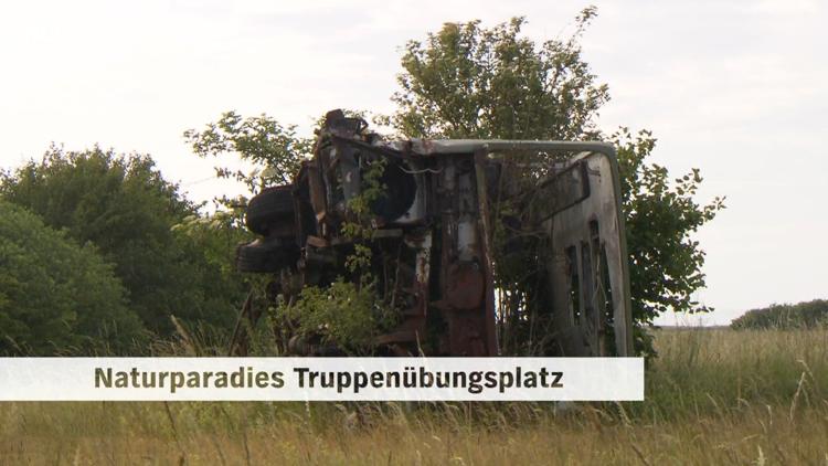 Постер Naturparadies Truppenübungsplatz