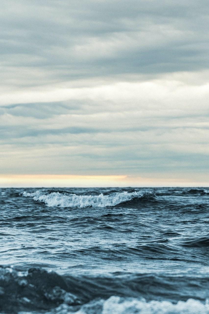 Le meraviglie dell'Oceano (le-meraviglie-delloceano) Познавательное
