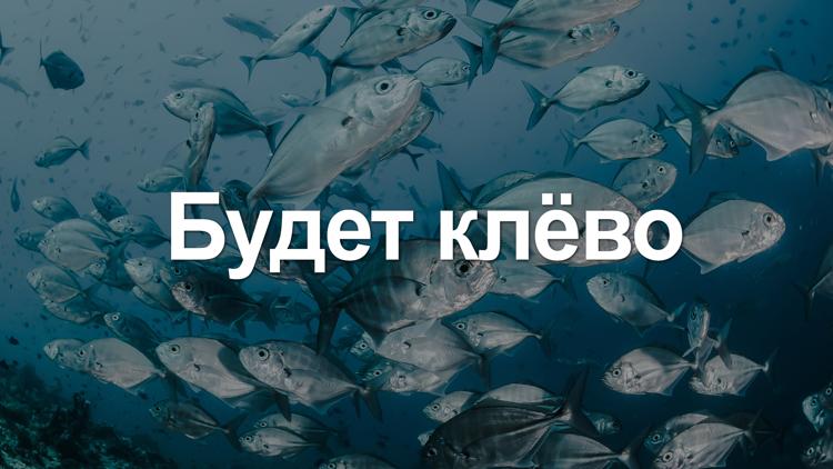 Постер Будет клёво