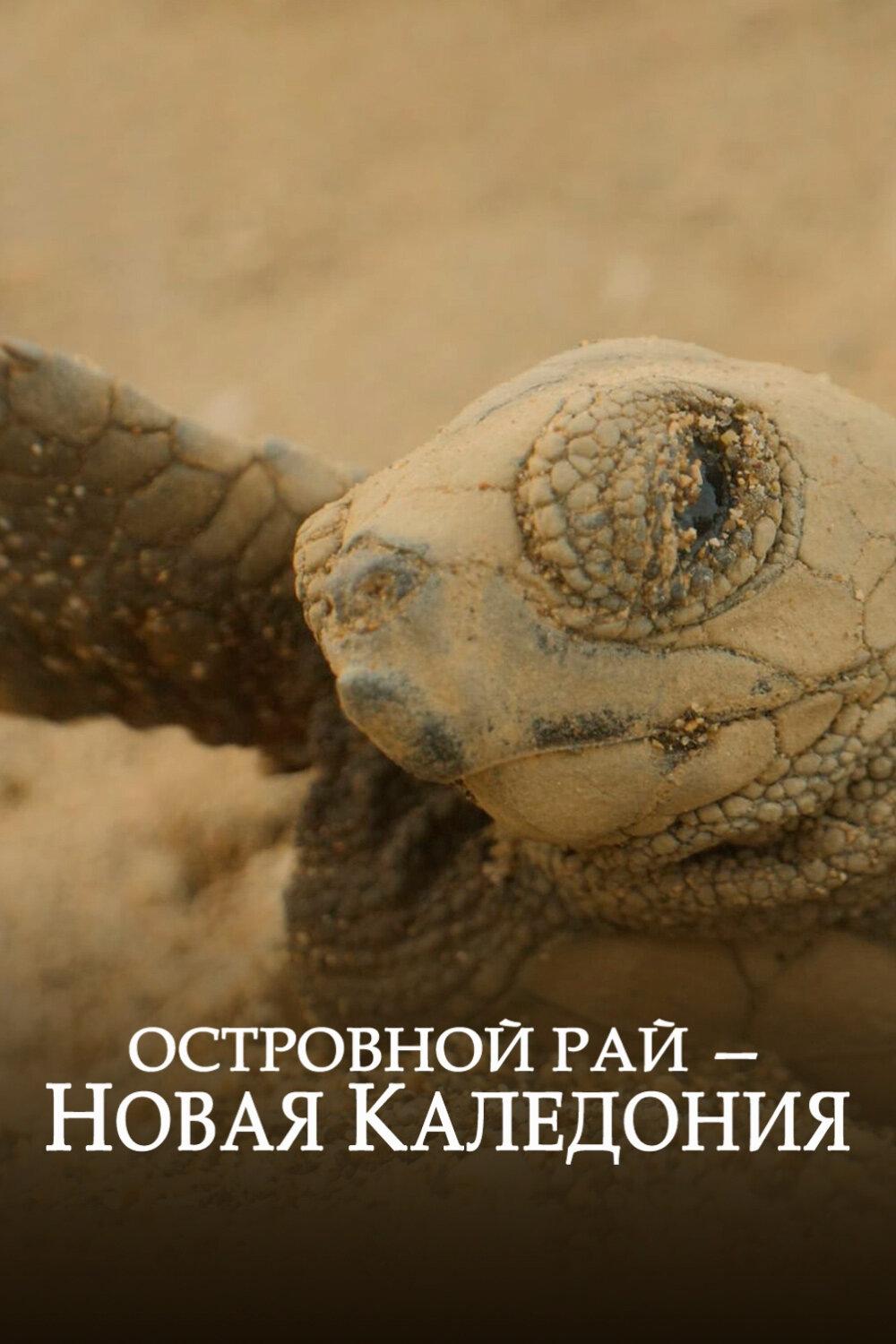 Островной рай - Новая Каледония (ostrovnoj-raj-novaja-kaledonija) Документальный фильм